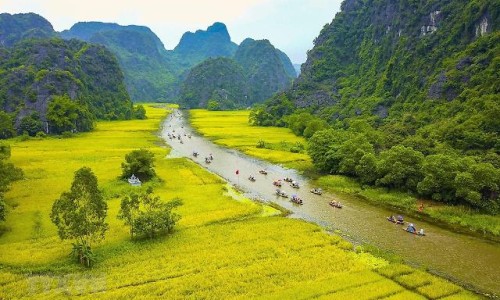 仁和枸橼酸铁铵b1糖浆图片网 :分享枸橼酸铁铵维b1糖浆ll的功效-枸橼酸铁铵效果好不好知识